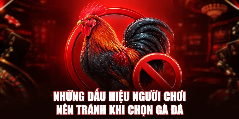 Những dấu hiệu người chơi nên tránh khi chọn gà đá